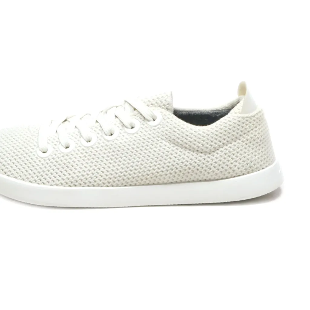 Allbirds Tree Runners Low-Top Sneakers Fabric Beige Colour For Women