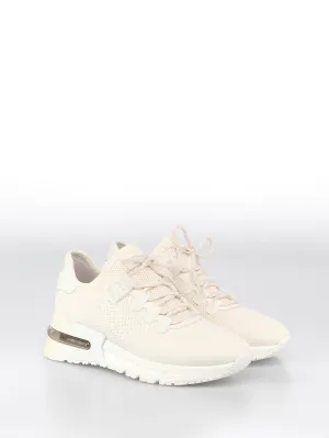 Ash Mesh Low-Top Sneakers