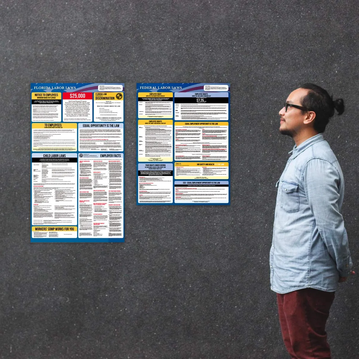 Florida Labor Law Posters 2021 - Florida and Federal Labor Law Poster Set. OSHA Compliant