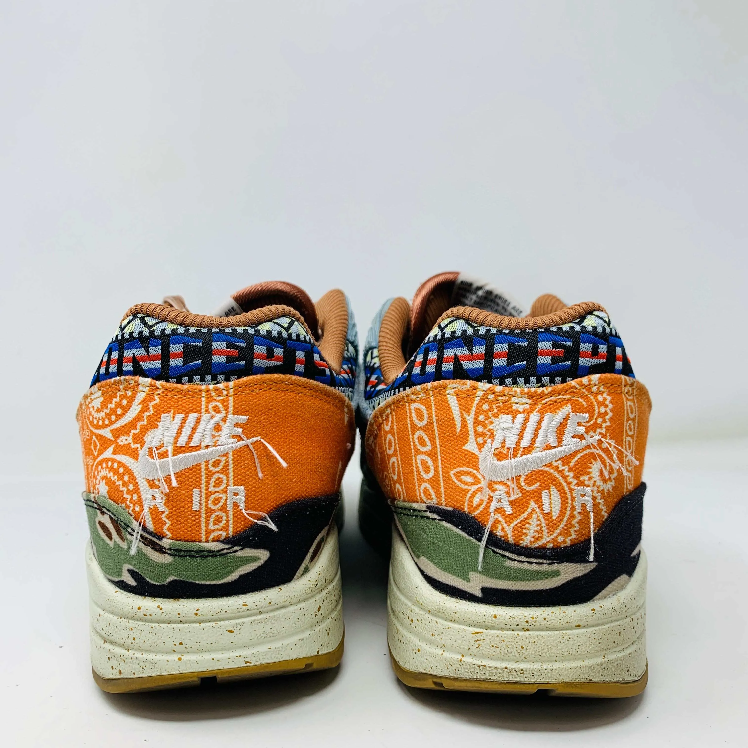 Nike Air Max 1 SP Concepts Heavy